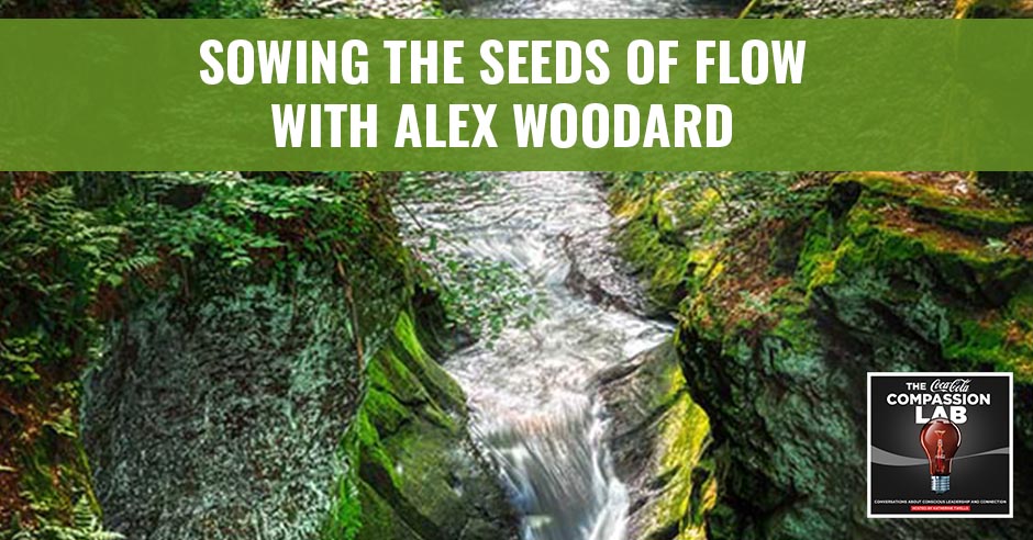 CMO | Seeds Of Flow