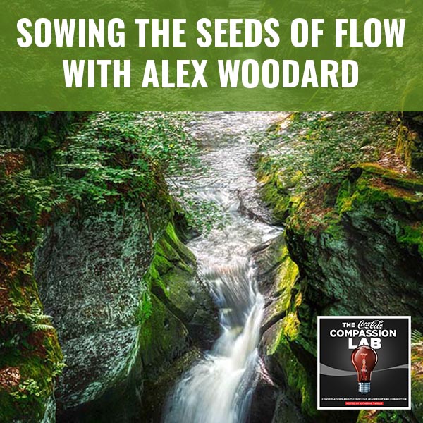 Sowing The Seeds Of Flow With Alex Woodard