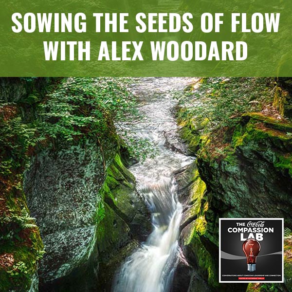 CMO | Seeds Of Flow