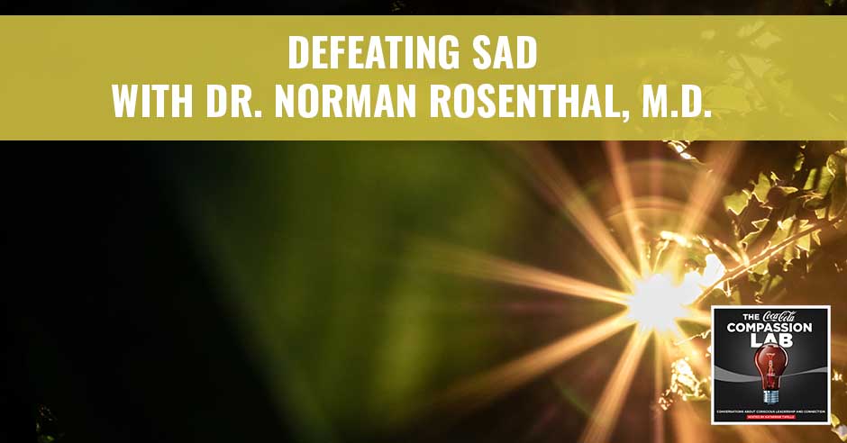 Defeating SAD (Seasonal Affective Disorder): A Guide to Health and Happiness Through All Seasons
