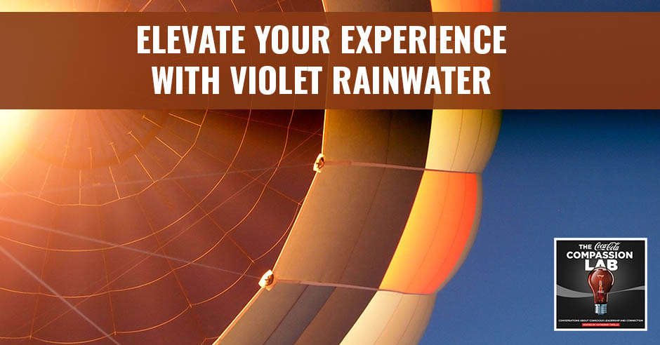 CMO Violet Rainwater | Elevate Your Experience