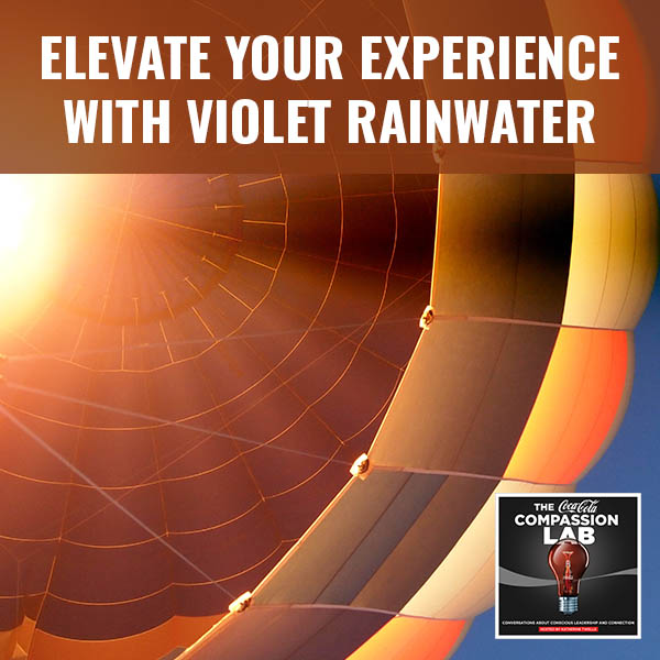 Elevate Your Experience With Violet Rainwater